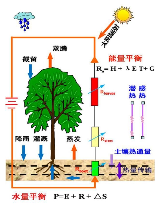 蒸散量測定方法及原理！